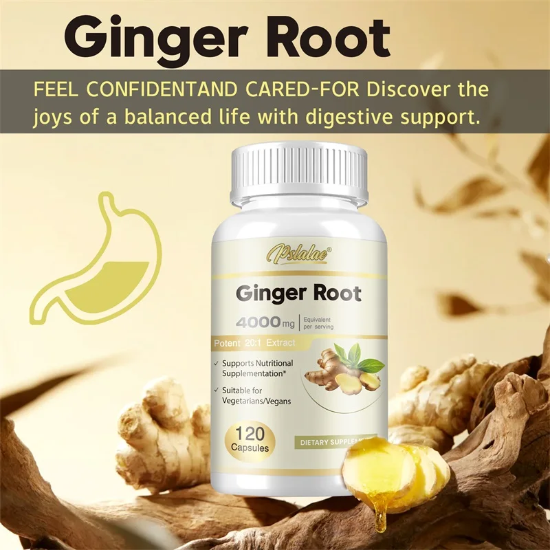 Ginger Root Capsules - Promote - Nutrition And Exercise reseña y precio