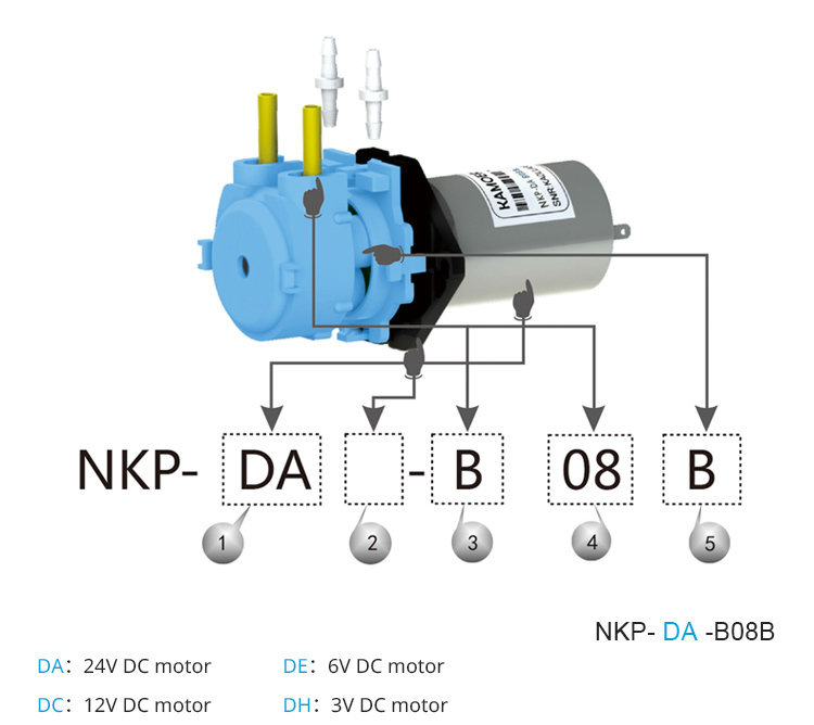 2026 new NKP 6V 12V 24V DC mot - Nutrition & Fitness Hub reseña y precio