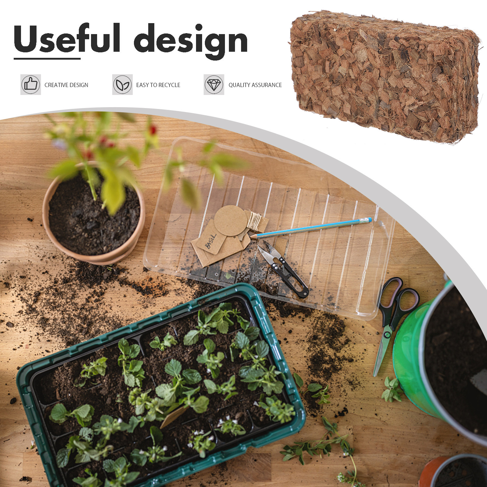 Plant Nursery Block Coconut Co - Nutrition & Fitness Hub reseña y precio
