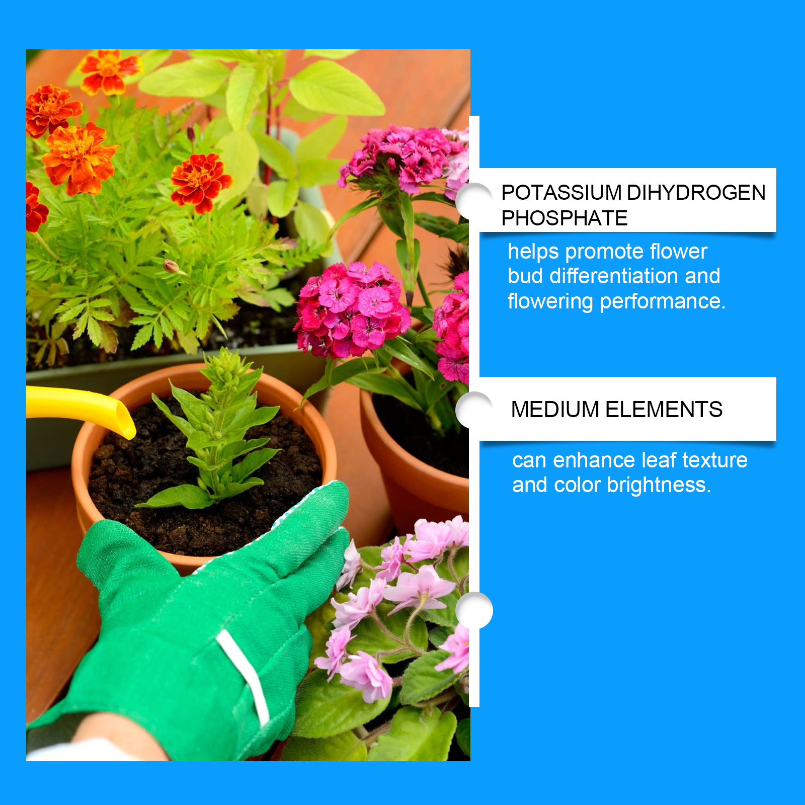 Flower Nutrient Solution Liqui - Nutrition & Fitness Hub reseña y precio